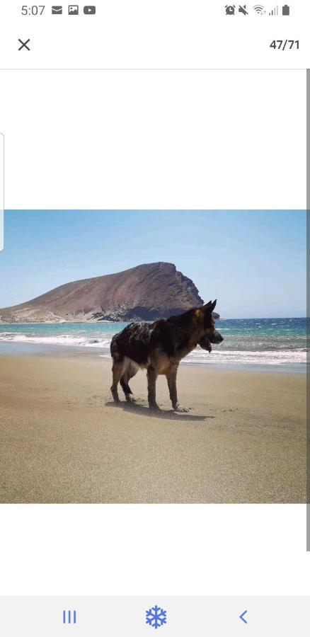 Las Terrazas II Granadilla De Abona Εξωτερικό φωτογραφία